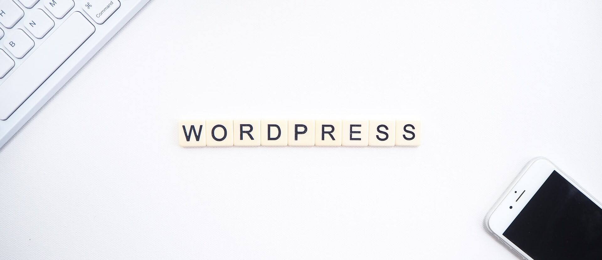 /assets/images/p/wordpress-z18twzz7g67bw9r.jpg