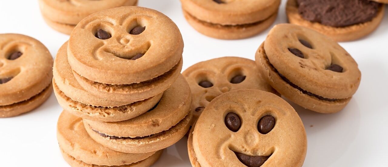 /assets/images/t/dsgvo-eugh-cookies-mfv0t9bdc4shh5g.jpg