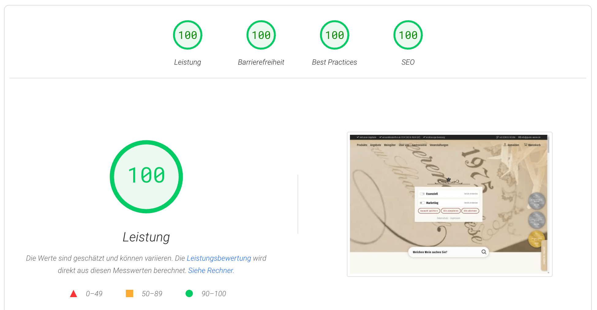 Google PageSpeed 100/100 bei Livegang