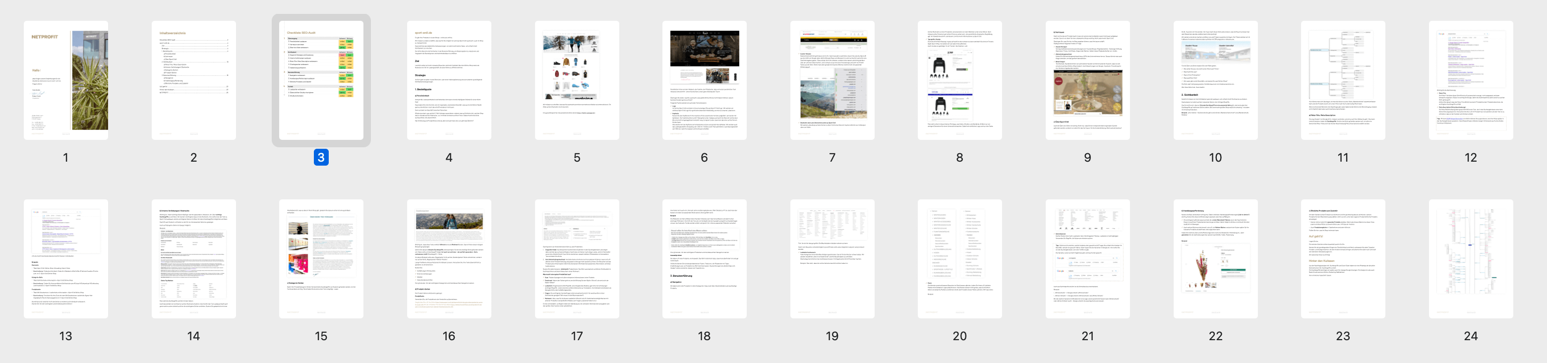 /files/dateien/bilder/lexikon/audit/audit-uebersicht-auszug.png