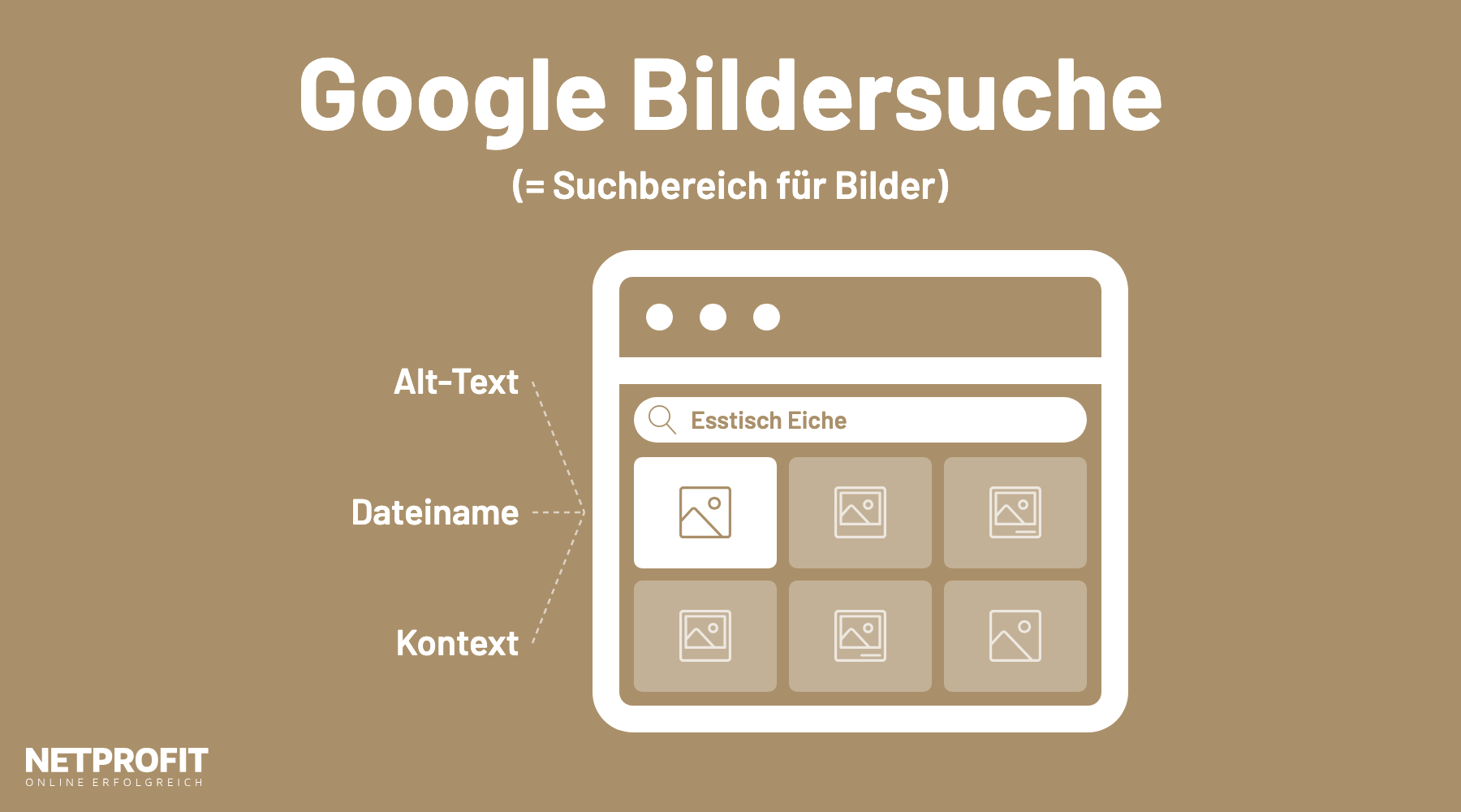Bildersuche mit Suchleiste und Vorschaubildern; Alt-Text, Dateiname und Kontext zeigen auf ein hervorgehobenes Bild